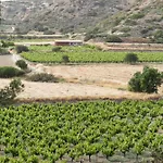 Hotel Vina Oliva Pissouri