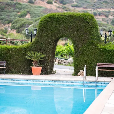 Vina Oliva 피조우리