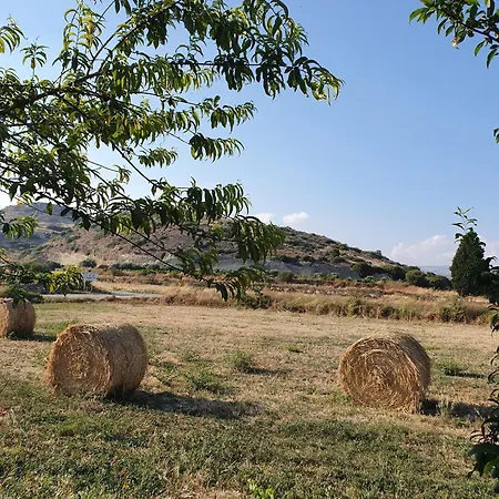 Hotel Vina Oliva
