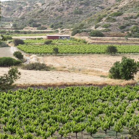 Hotel Vina Oliva Pissouri