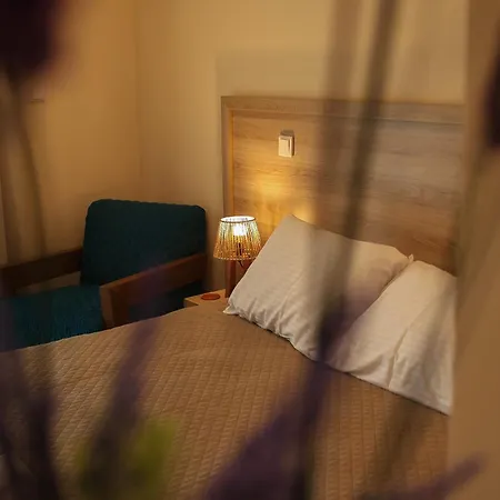 Hotel Vina Oliva *