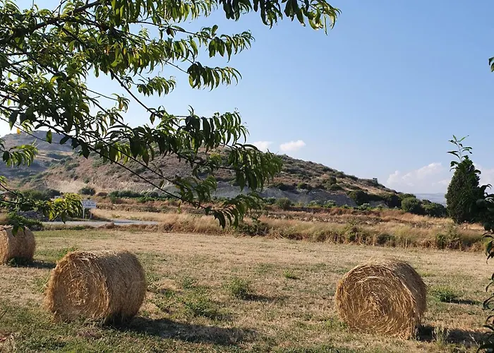 Ξενοδοχείο Vina Oliva