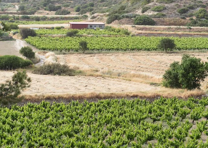 Ξενοδοχείο Vina Oliva Πισσούρι