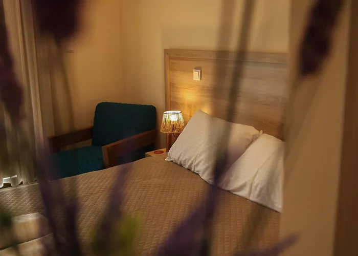 Ξενοδοχείο Vina Oliva *